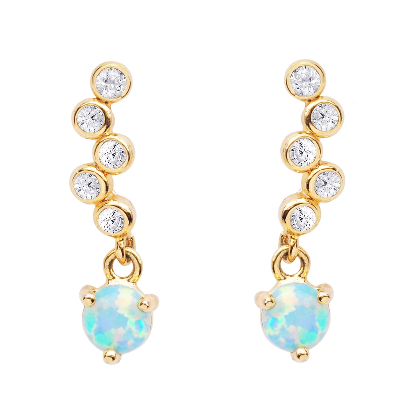 Shimmering Drop Earrings