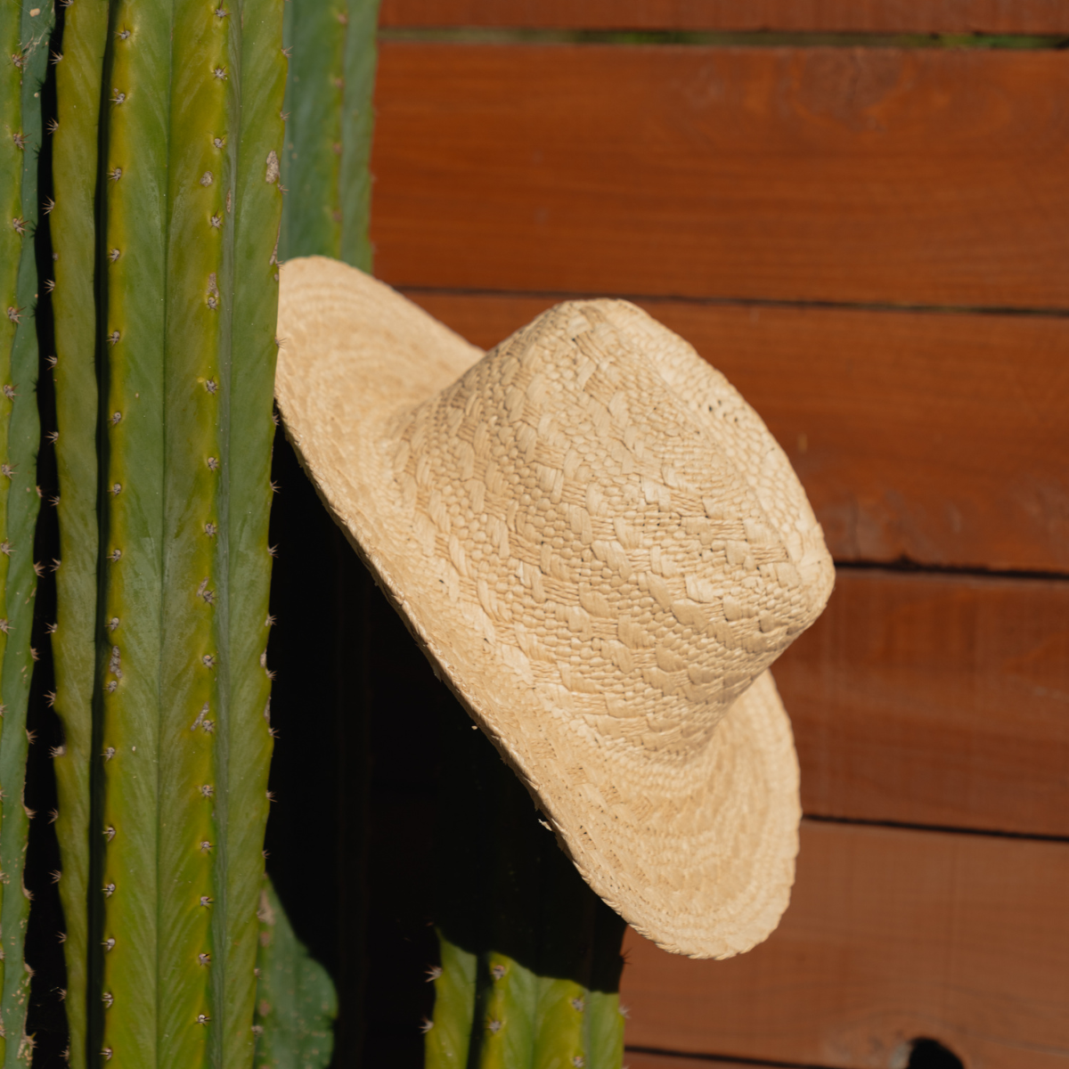 Local Beach Dune Cowboy Sun Hat