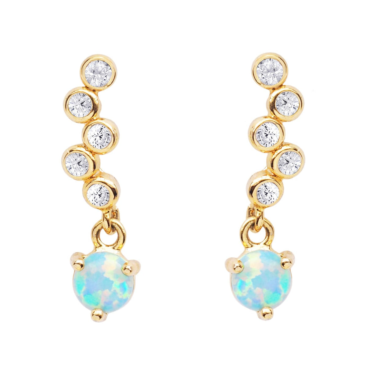 Shimmering Drop Earrings