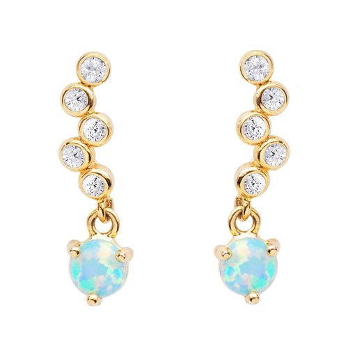 Shimmering Drop Earrings