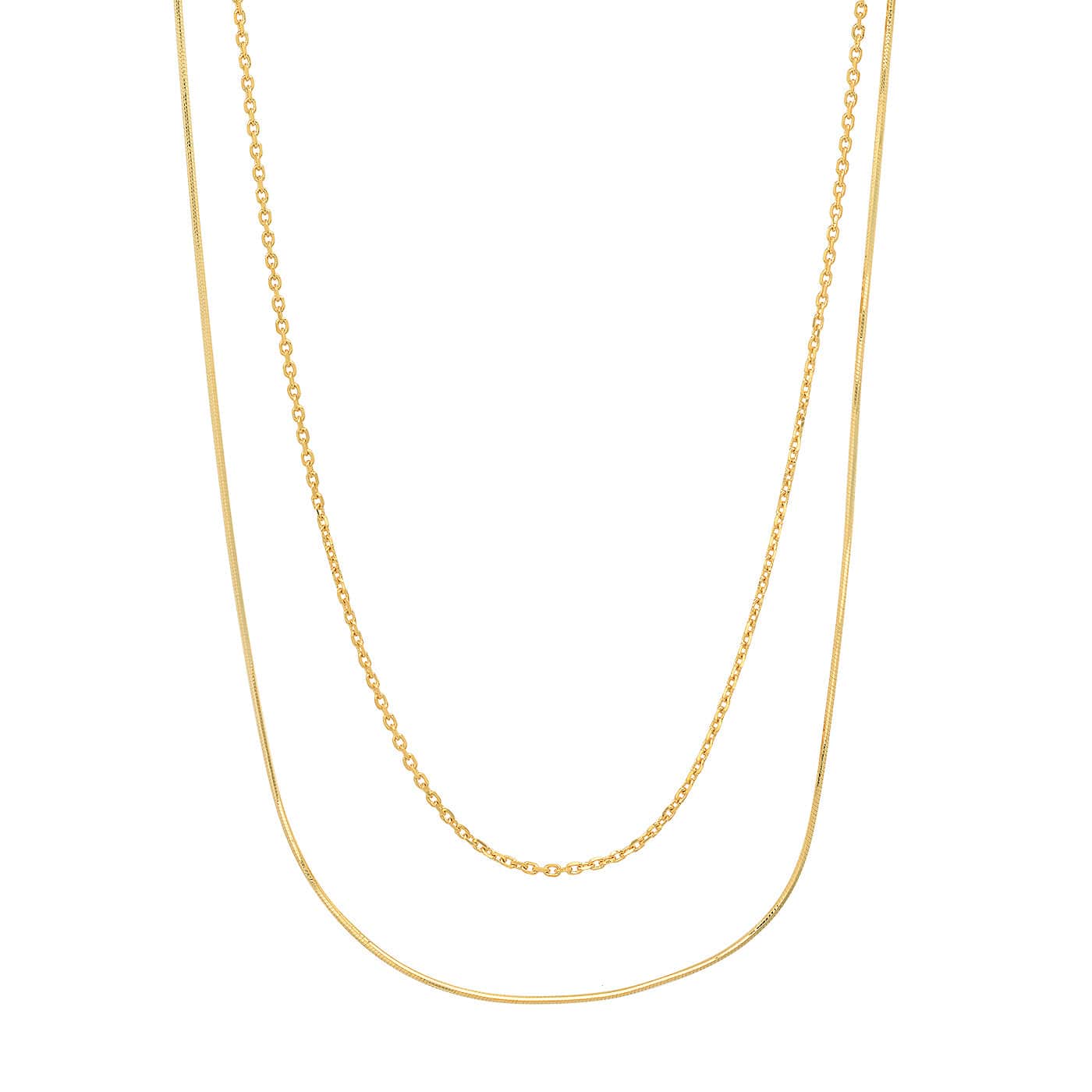 Double Link And Snake Chain Necklace